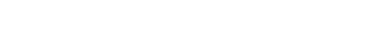 logo napis bez niczego biały 6